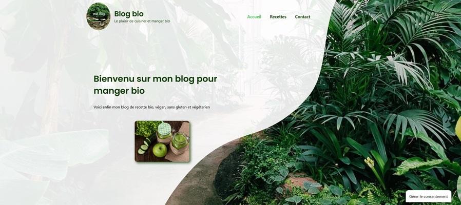 Site internet, blog à vendre, prêt à l'emploi