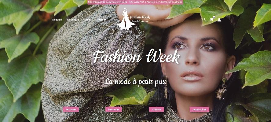 E-commerce de vêtement (mode) prêt à l’emploi à vendre