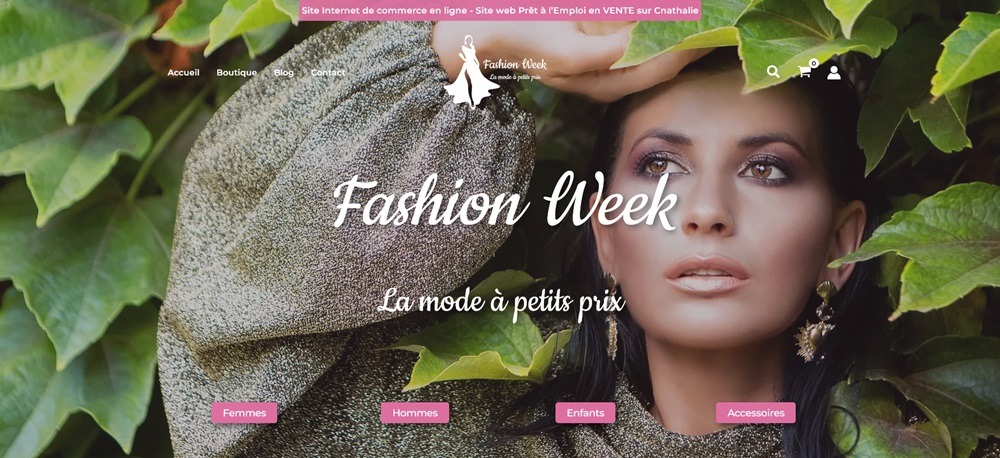 E-commerce de vêtement (mode) prêt à l’emploi à vendre